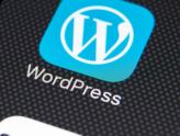 Mbi 280 mijë uebsajte WordPress në rrezik nga një shtojcë