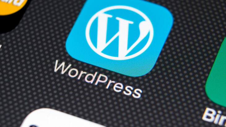 Mbi 280 mijë uebsajte WordPress në rrezik nga një shtojcë